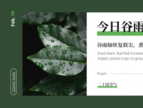 谷雨 | 詩(shī)寫(xiě)梅花月,茶煎谷雨春